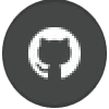 GitHub icon