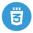 CSS logo